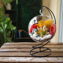 Load image into Gallery viewer, Hanging Glass Globe Terrarium with Stand: Air Plant &amp; Succulent Holder, DIY Kit Vase