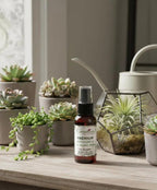 Succulent & Air Plant Fertilizer Spray — Ready-to-Use Liquid Plant Food for Terrariums, Indoor Plants & DIY Kits