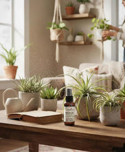 Load image into Gallery viewer, Succulent &amp; Air Plant Fertilizer - Ready-To-Use Mist Spray