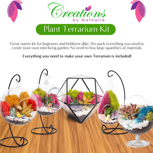 Large Plant Terrarium Starter Kit - Creations by Nathalie