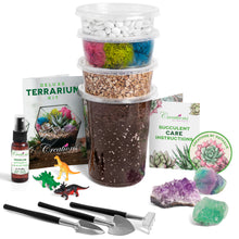 Load image into Gallery viewer, Plant Terrarium Starter Kit
