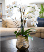 Metallic Vase Orchid - Creations by Nathalie