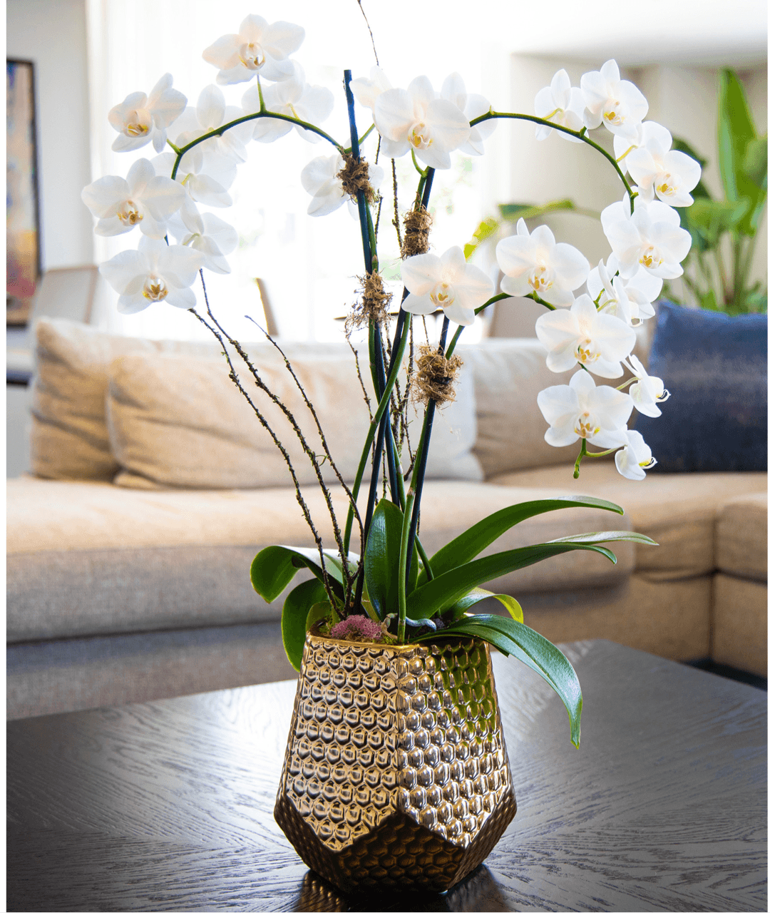 Metallic Vase Orchid - Creations by Nathalie