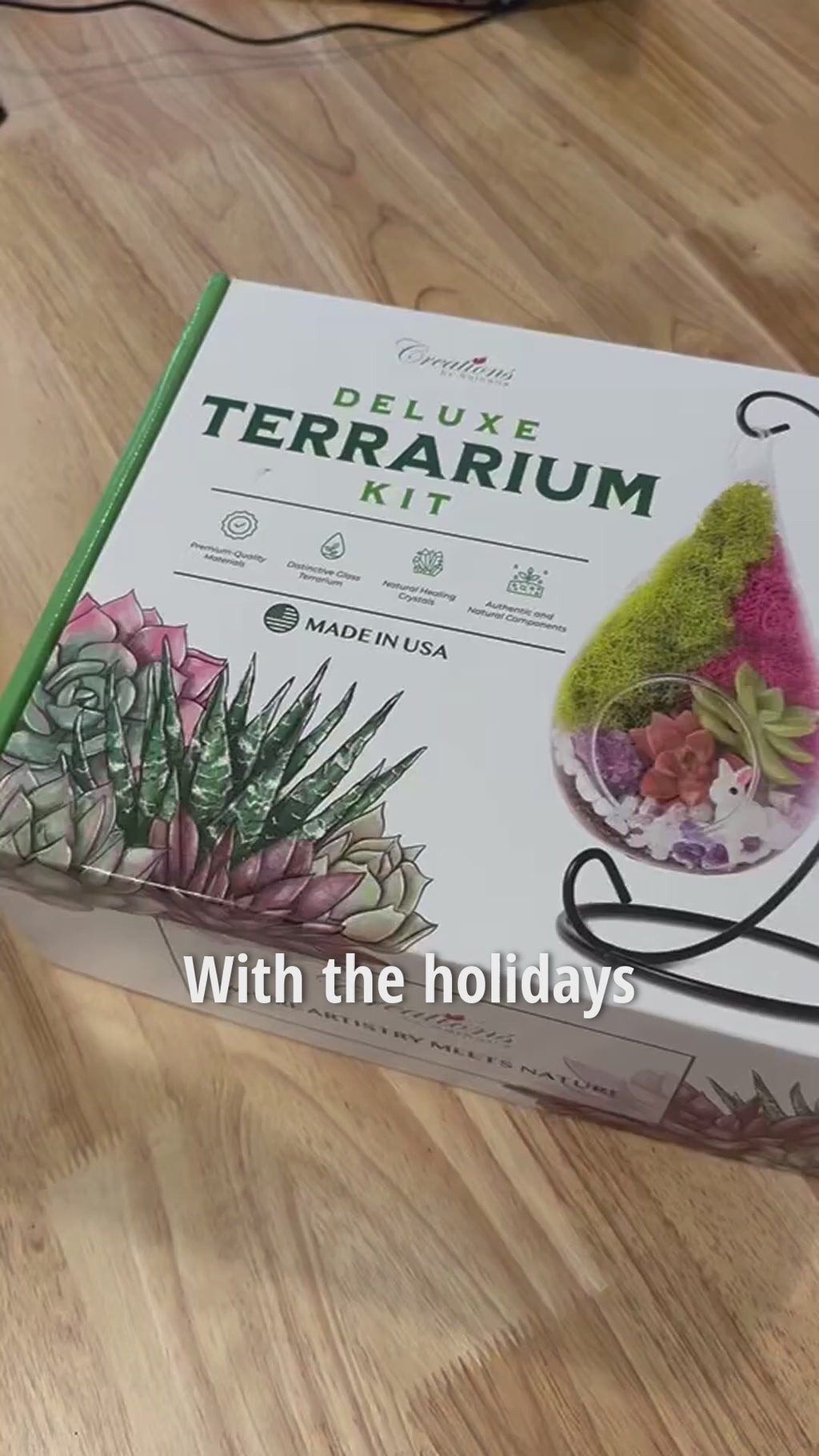 7" Glass Tear Drop Succulent Terrarium Kit