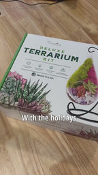 7" Glass Tear Drop Succulent Terrarium Kit