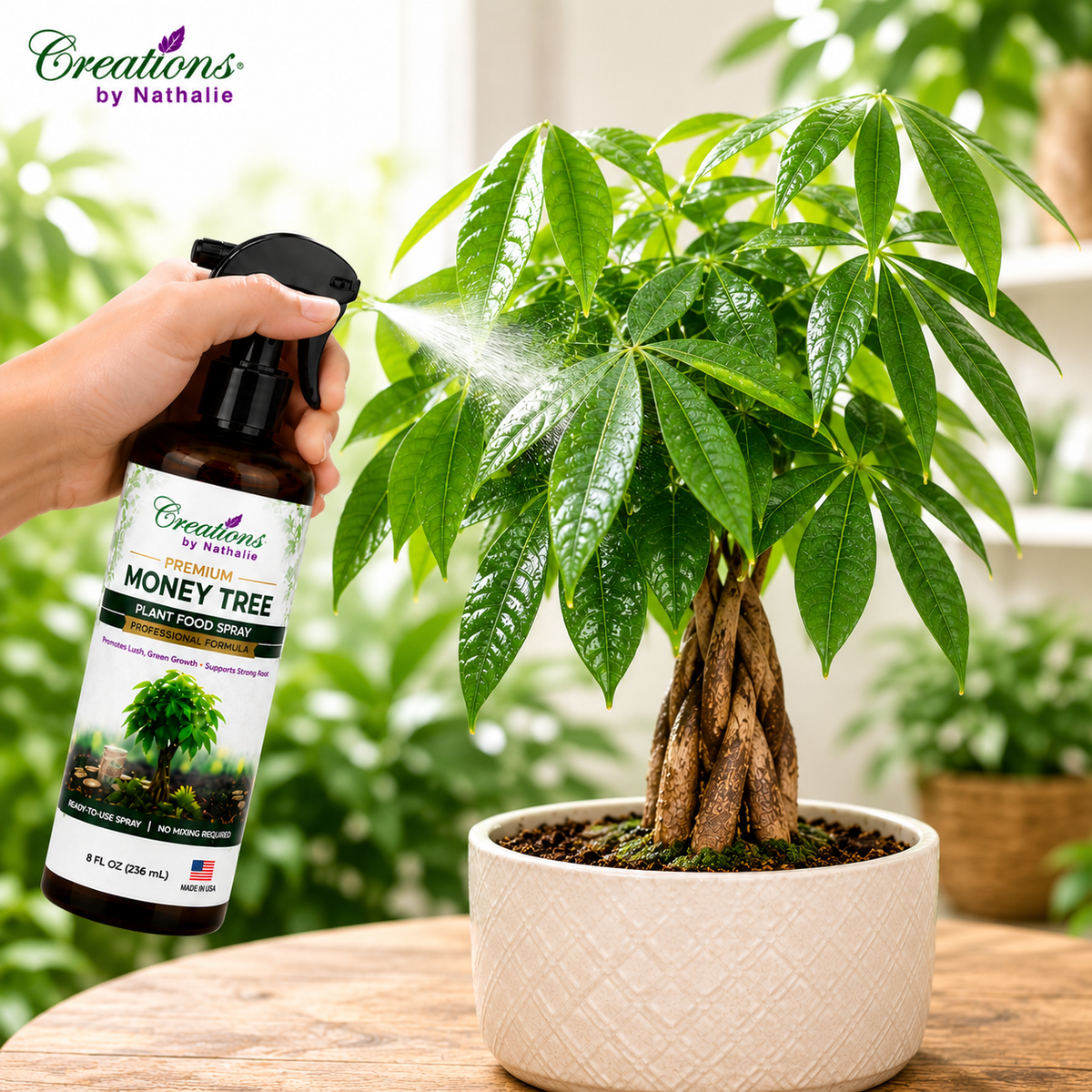 Creations by Nathalie Money Tree Plant Food Spray, Ready-to-Use Liquid Fertilizer for Indoor Plants, Indoor Plant Food for Houseplants, Plant Food for Indoor Plants, House Plant Food, 8 Fl Oz