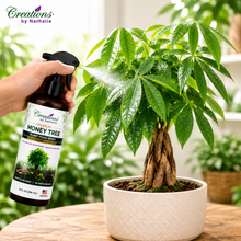 Load image into Gallery viewer, Creations by Nathalie Money Tree Plant Food Spray, Ready-to-Use Liquid Fertilizer for Indoor Plants, Indoor Plant Food for Houseplants, Plant Food for Indoor Plants, House Plant Food, 8 Fl Oz