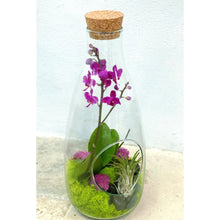 Load image into Gallery viewer, 14&quot; Glass Bottle Orchid Terrarium Garden - Creations by Nathalie