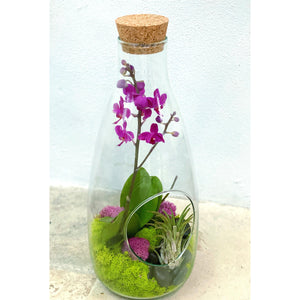 14" Glass Bottle Orchid Terrarium Garden - Creations by Nathalie
