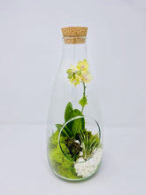 Load image into Gallery viewer, 14&quot; Glass Bottle Orchid Terrarium Garden - Creations by Nathalie