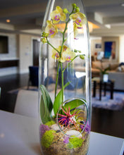 Load image into Gallery viewer, 18&quot; Glass Bottle Orchid Terrarium and Air Plant Garden - Creations by Nathalie