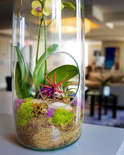 Load image into Gallery viewer, 18&quot; Glass Bottle Orchid Terrarium and Air Plant Garden - Creations by Nathalie