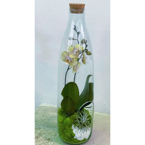 22" Glass Bottle Orchid and Air Plant Terrarium Garden - Creations by Nathalie
