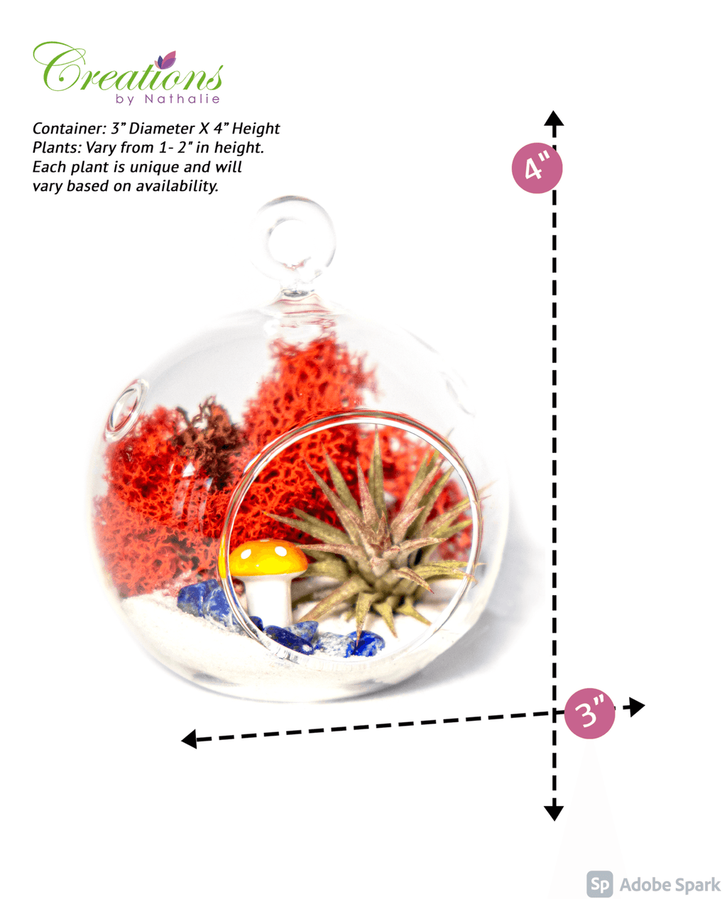 4" Glass Globe Air Plant Terrarium Kit - Creations by Nathalie