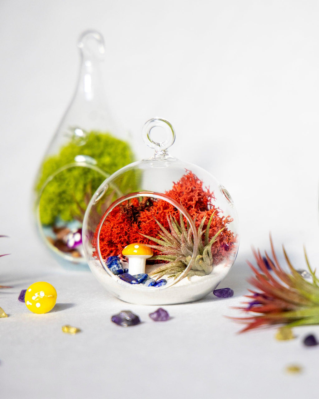 4" Glass Globe Air Plant Terrarium Kit - Creations by Nathalie