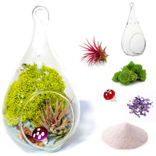 Load image into Gallery viewer, 4&quot; Glass Tear Drop Air Plant Terrarium Kit - Creations by Nathalie