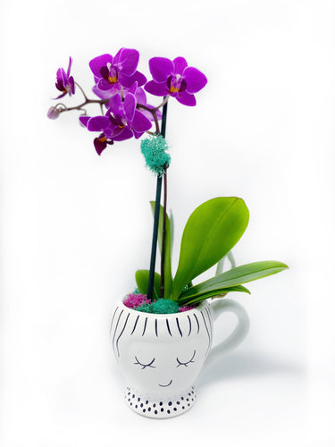 La Carita Mini Orchid Vase - Creations by Nathalie