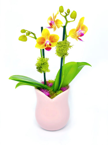 Mini Orchid Pink Vase - Creations by Nathalie