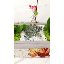 Load image into Gallery viewer, Wide Concrete Rectangle Garden  (32&quot;W) - Creations by Nathalie Miami Floral Design Terrarium Orchid Succulent Air Plant